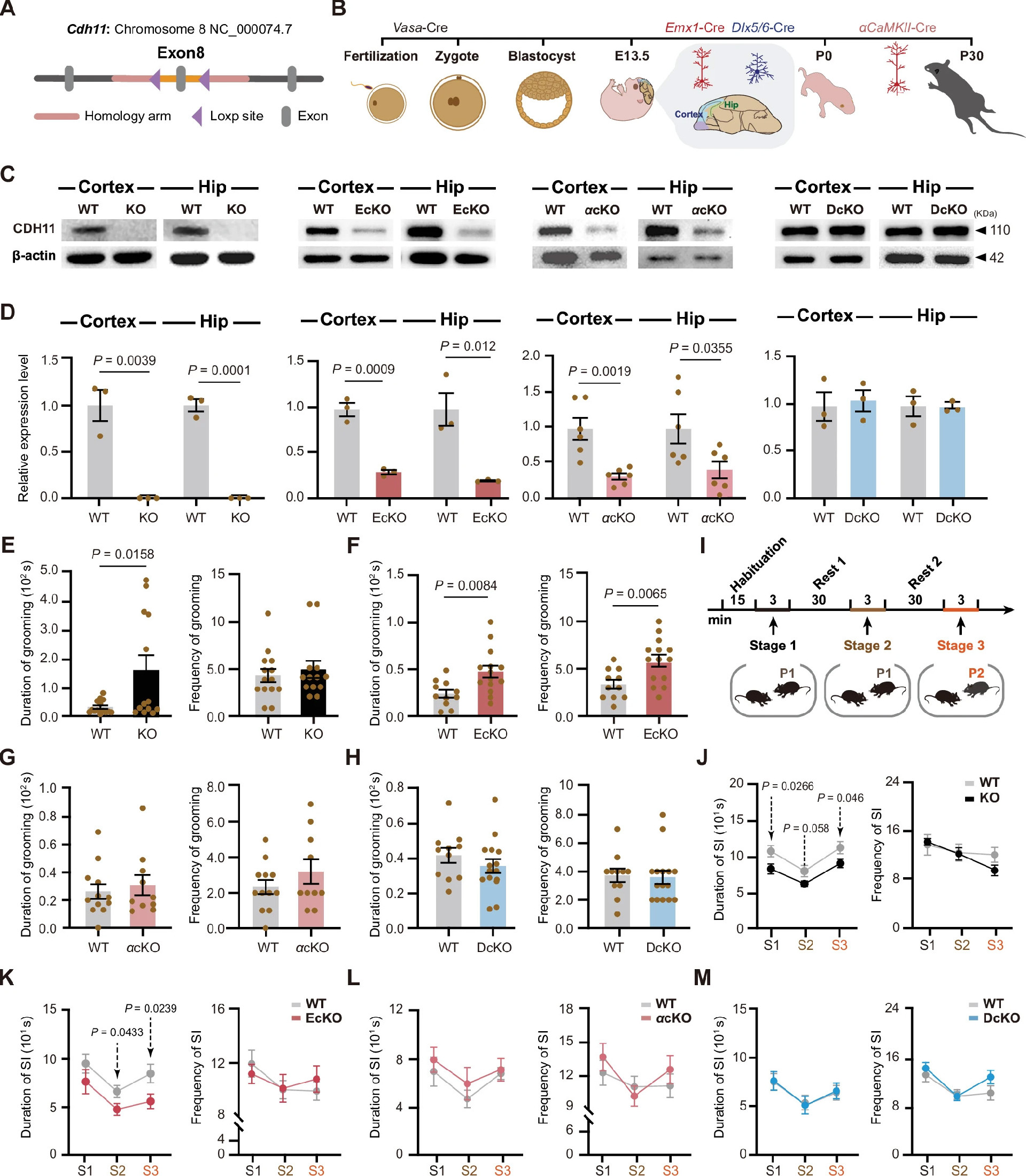 41380_2025_3141_Fig2_HTML 拷贝.jpg