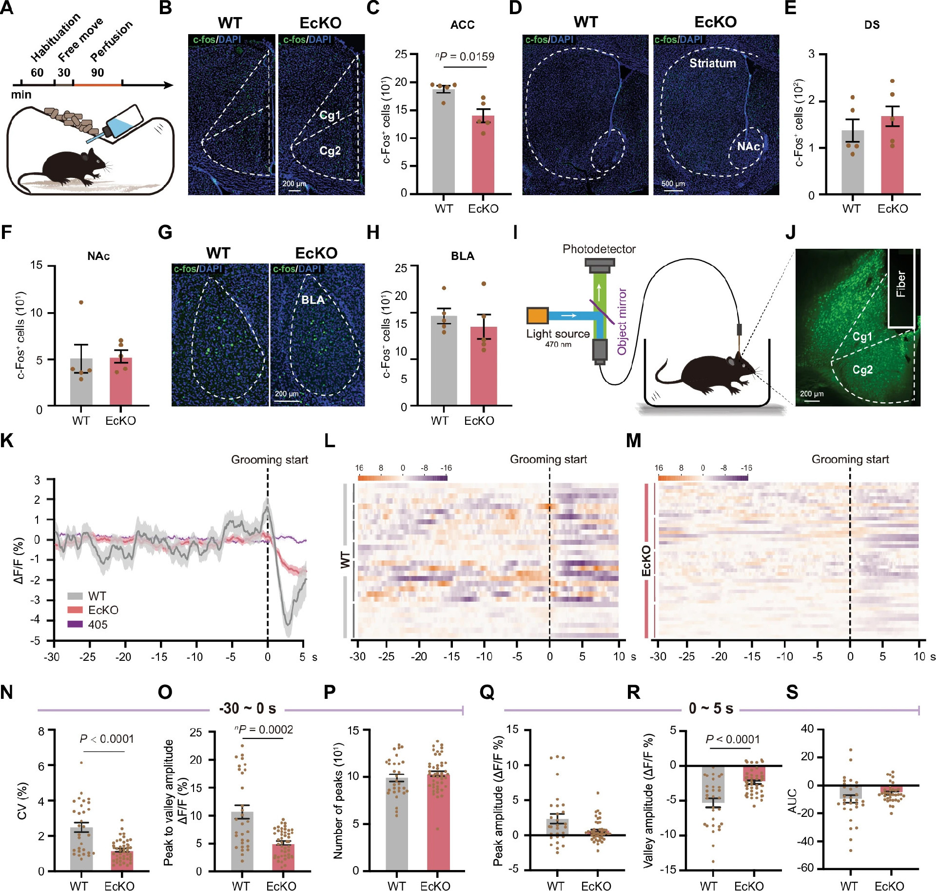 41380_2025_3141_Fig4_HTML 拷贝.jpg