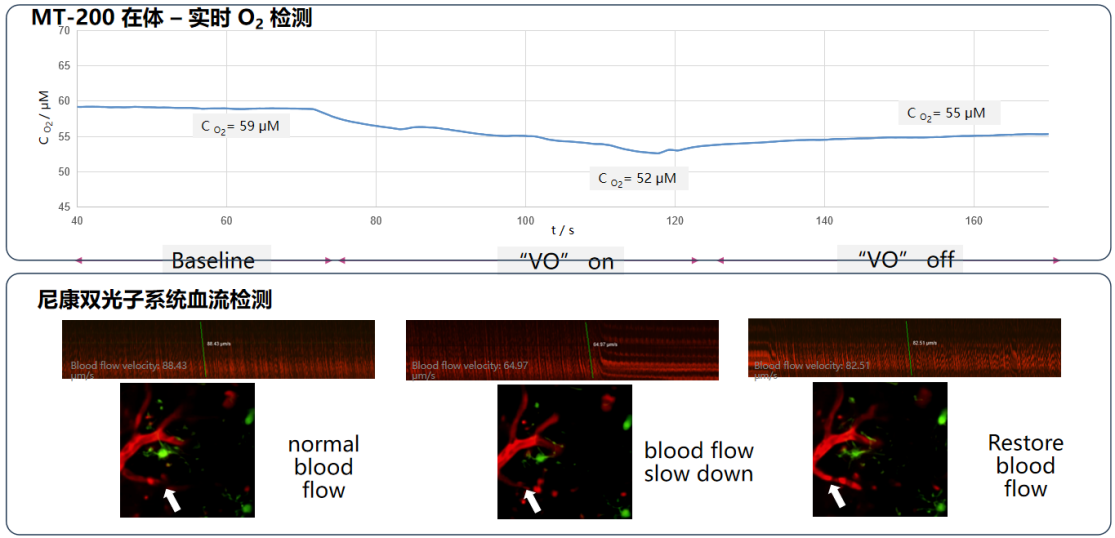 202510141649.png 图片12.png