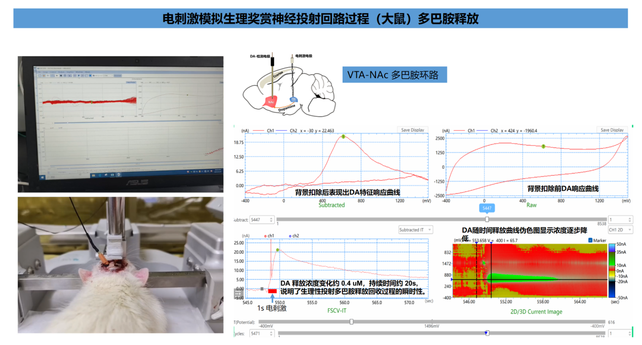 202510141843.png 图片4.png