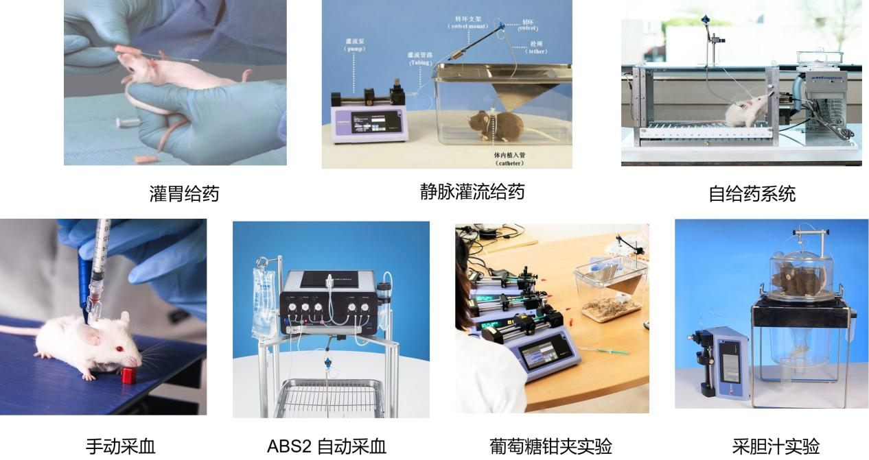 202510144832.png 图片19.png