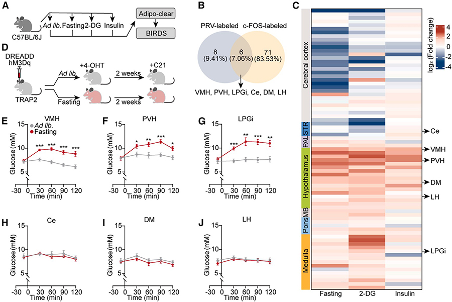 202510242290.jpg 2 拷贝.jpg