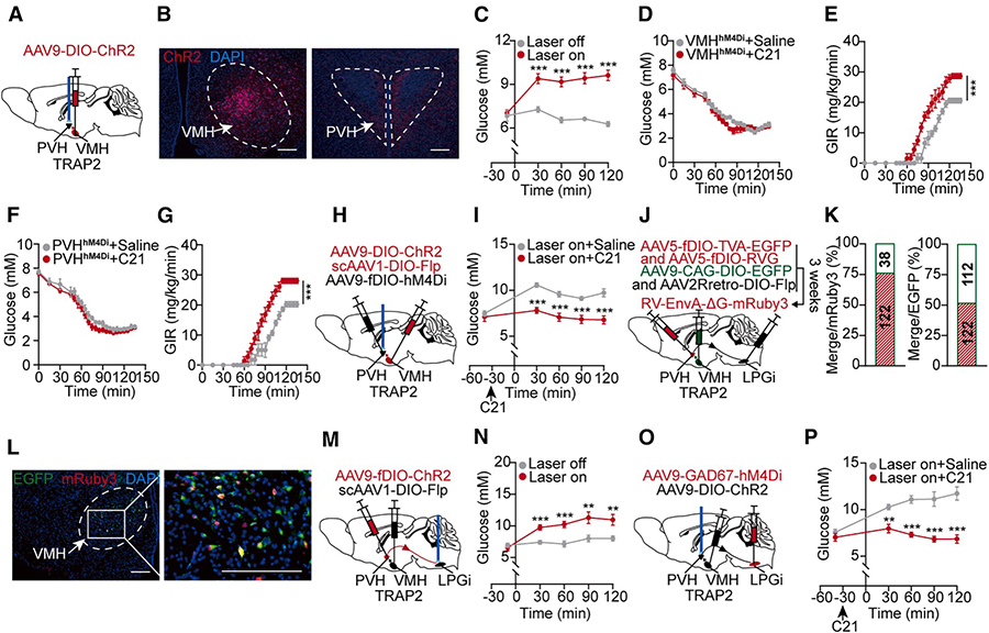 202510244788.jpg 4 拷贝.jpg