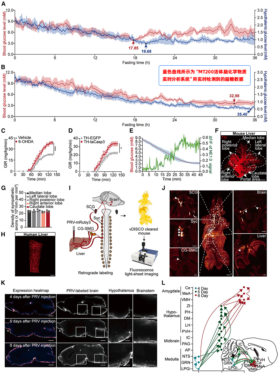 202510246399.jpg 1 拷贝.jpg