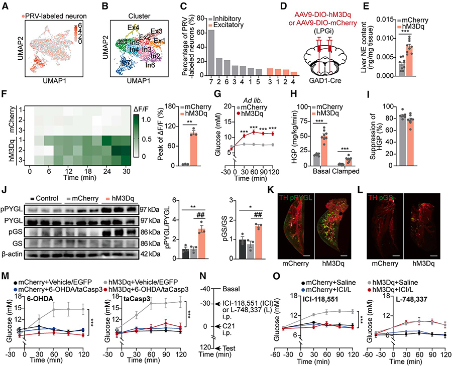 202510249643.jpg 3 拷贝.jpg