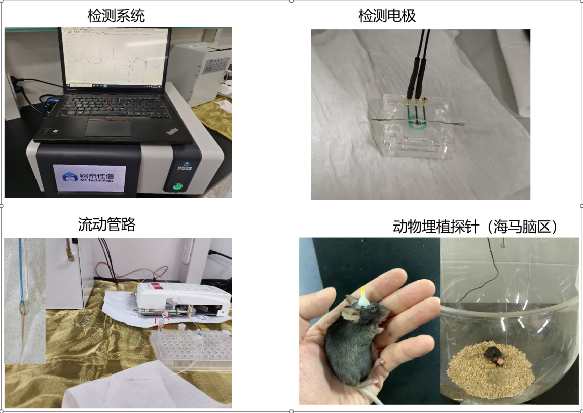 202512096466.png 图片1.png