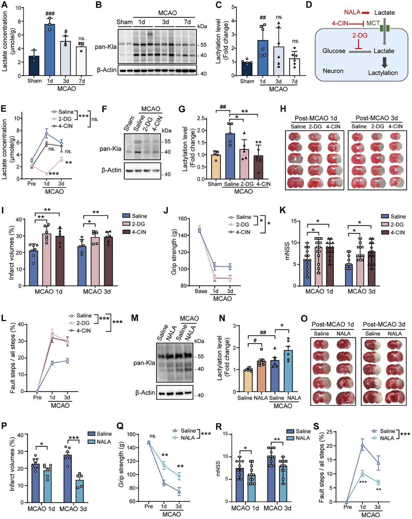 202603051679.jpg 1.jpg