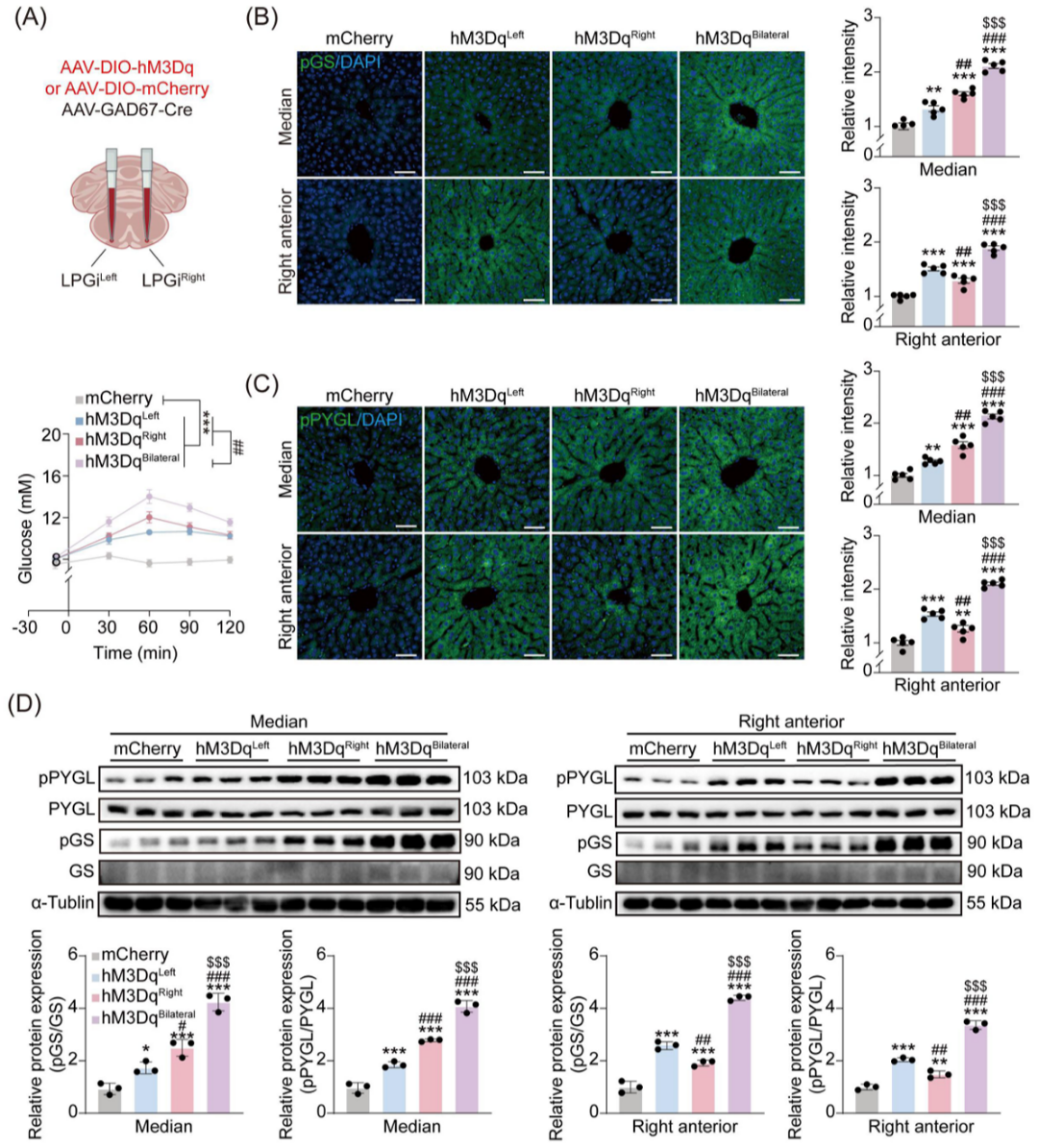 202603231250.png 2.png