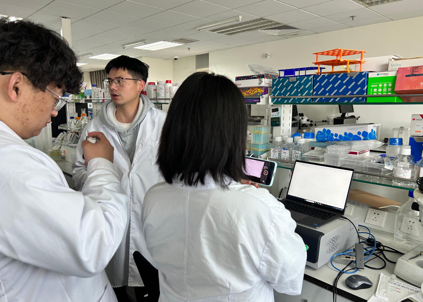 202604086670.jpg 11.jpg