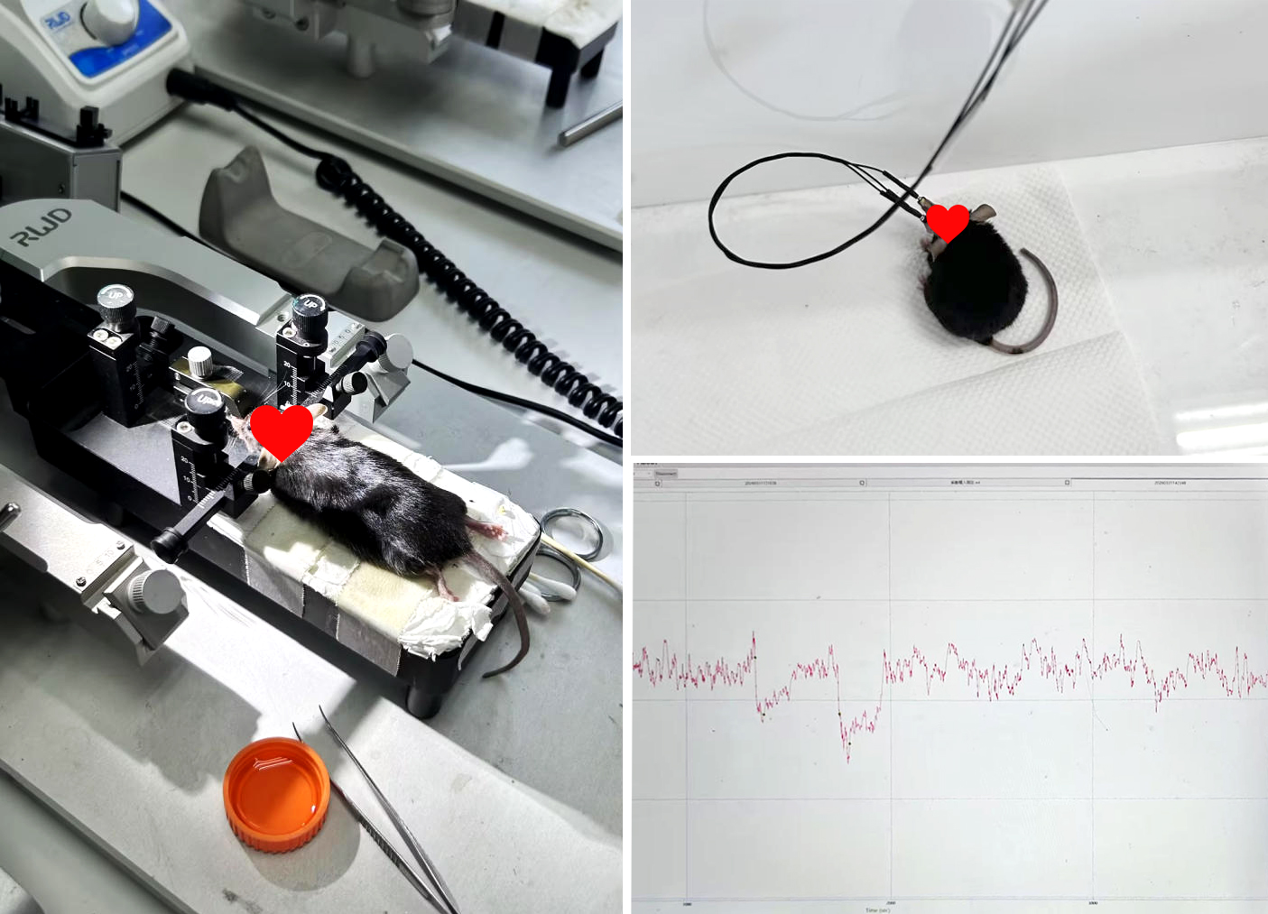 202604086883.jpg 21 拷贝.jpg